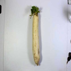 Nabo Japones 1 Kilogram