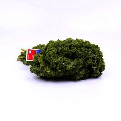 Lechuga Sangria Organica 1 Pieza Lechuga Sangria Organica 1 Pieza