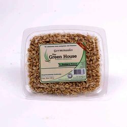 Trigo En Envase 1 Pieza