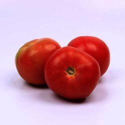 Tomate Bola Premium 1 Kilogram