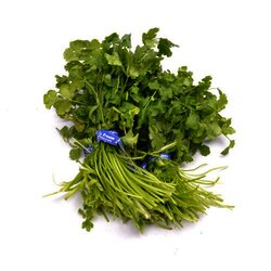 Cilantro 1 Manojo