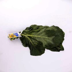 Berza Organica 1 Pieza