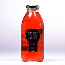 Te Helado Arandano 485 Milili