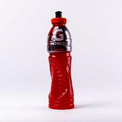 Bebida Rehidratante Ponche 600 Milili