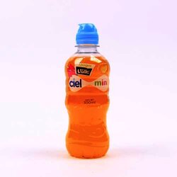 Bebida De Sabor Mango 300 Milili