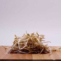 Germinado Soya 1 Kilogram