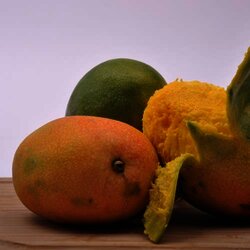 Mango Hayden O Tomy 1 Kilogram