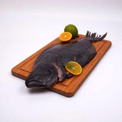 Lenguado Fresco 1 Kilogram