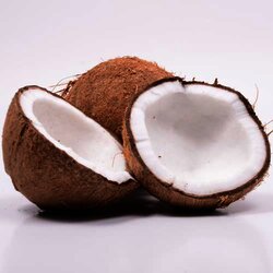 Coco De Agua 1 Pieza