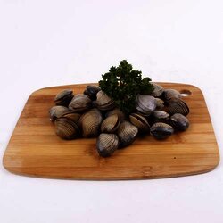 Almeja Chirla 1 Kilogram