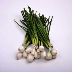 Cebollita Cambray 1 Manojo