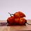 Chile Habanero 1 Kilogram