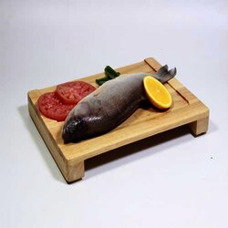 Black Bass 1 Kilogram