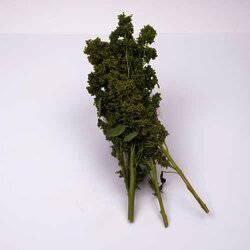 Xoconostle 1 Kilogram