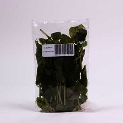 Hierbabuena 1 Manojo