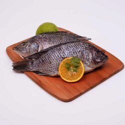 Mojarra Tilapia 1 Kilogram