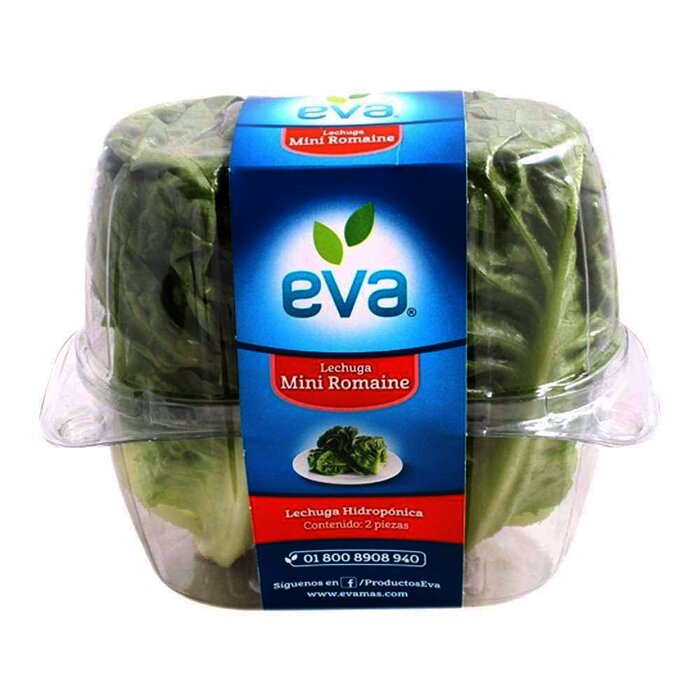 Lechuga Eva mini romana hidropónica 2 piezas