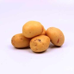 Papa Cambray 1 Pieza