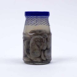 Ostion En Frasco 1 Pieza