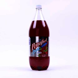 Refresco Arandano Light 2 Litro