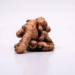 Jengibre 1 Kilogram