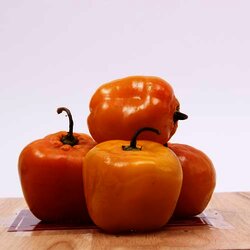 Chile Manzano 1 Kilogram