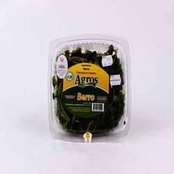 Ensalada De Berros Hidroponica 1 Pieza
