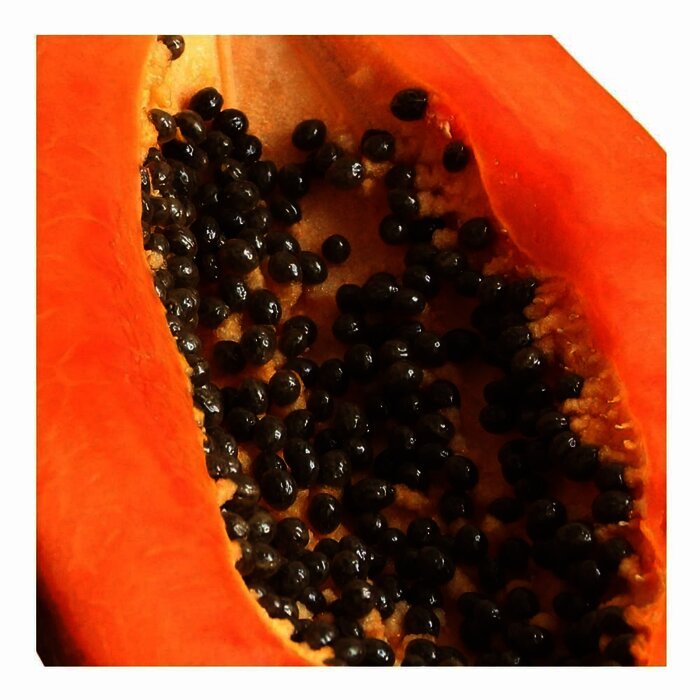 Papaya maradol por kilo