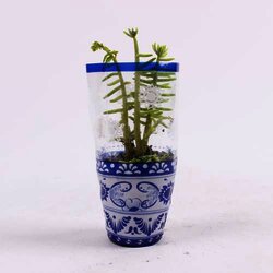 Mini Planta 1 Pieza