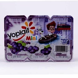 Yoghurt Mini Batido Uva 270 Gramos