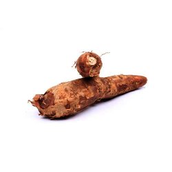 Yuca 1 Kilogram