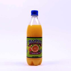 Bebida Citrus Punch 600 Milili