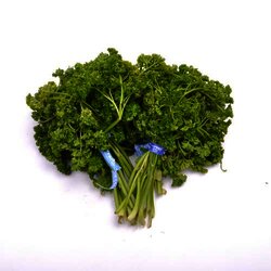 Perejil Chino 1 Manojo